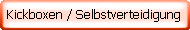 Kickboxen / Selbstverteidigung